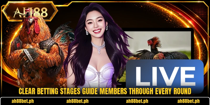 Clear betting stages guide members through every round