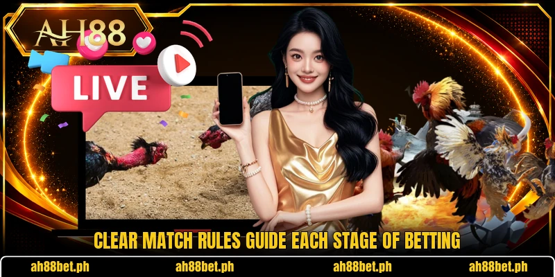 Clear match rules guide each stage of betting