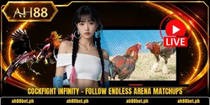 Cockfight Infinity - Follow Endless Arena Matchups
