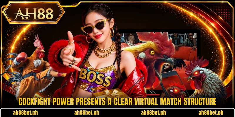 Cockfight power presents a clear virtual match structure