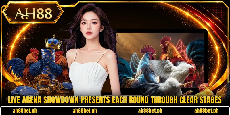 Live arena showdown presents each round through clear stages Live arena showdown presents each round through clear stages