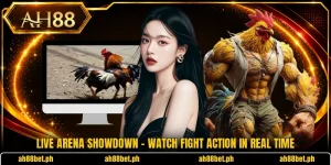 Live Arena Showdown - Watch Fight Action In Real Time