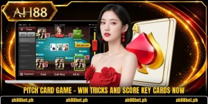 Pitch Card Game - Win Tricks And Score Key Cards Now