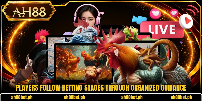 Players follow betting stages through organized guidance Players follow betting stages through organized guidance