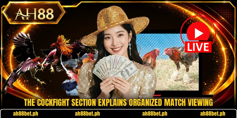 The cockfight section explains organized match viewing The cockfight section explains organized match viewing